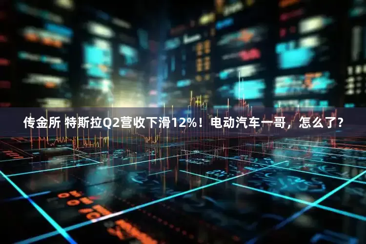 传金所 特斯拉Q2营收下滑12%！电动汽车一哥，怎么了？
