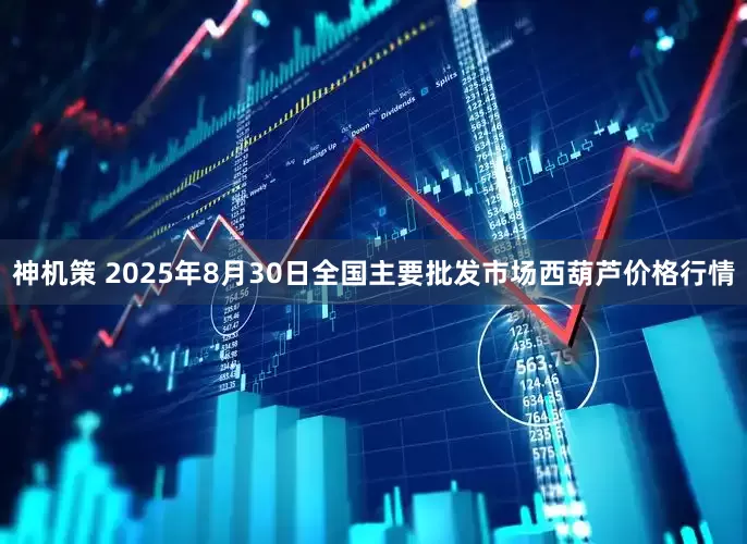 神机策 2025年8月30日全国主要批发市场西葫芦价格行情