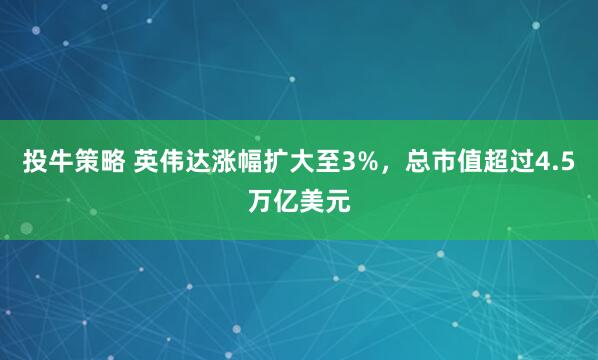 投牛策略 英伟达涨幅扩大至3%，总市值超过4.5万亿美元
